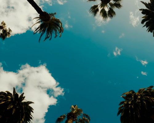 No-Regrets-Tattoo-Studio-Miami-scaled