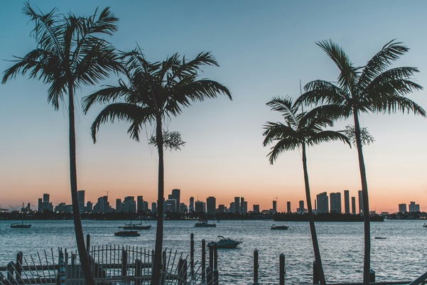 A sunset landscape shot of Miami beach with palm trees in the front.