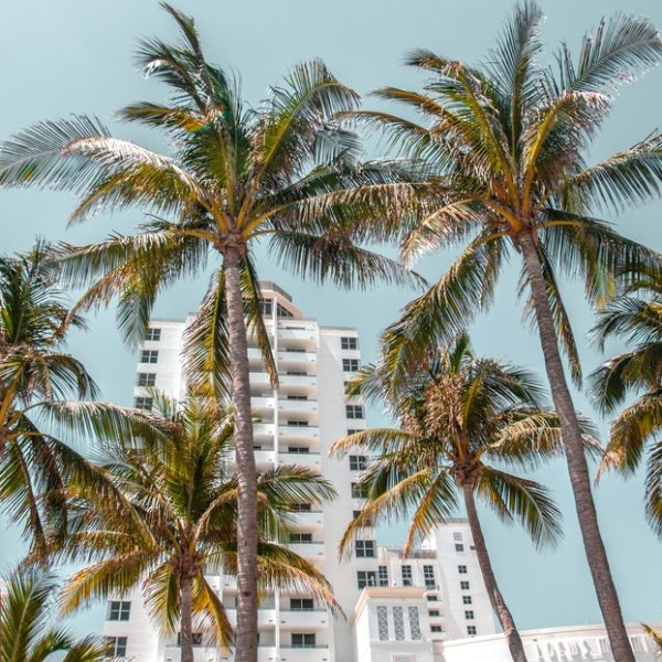 No Regrets Miami (2) (1)